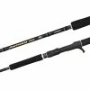 Shimano Anthem SW Heavy Spinning Fishing Rod